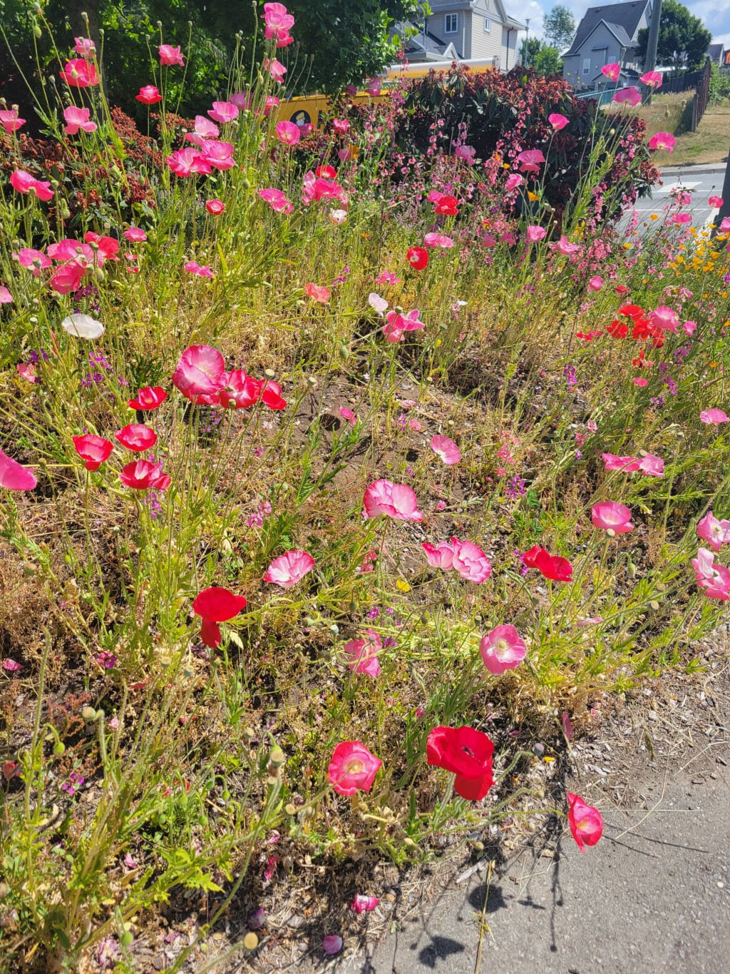 So, Mark, how’s it going?