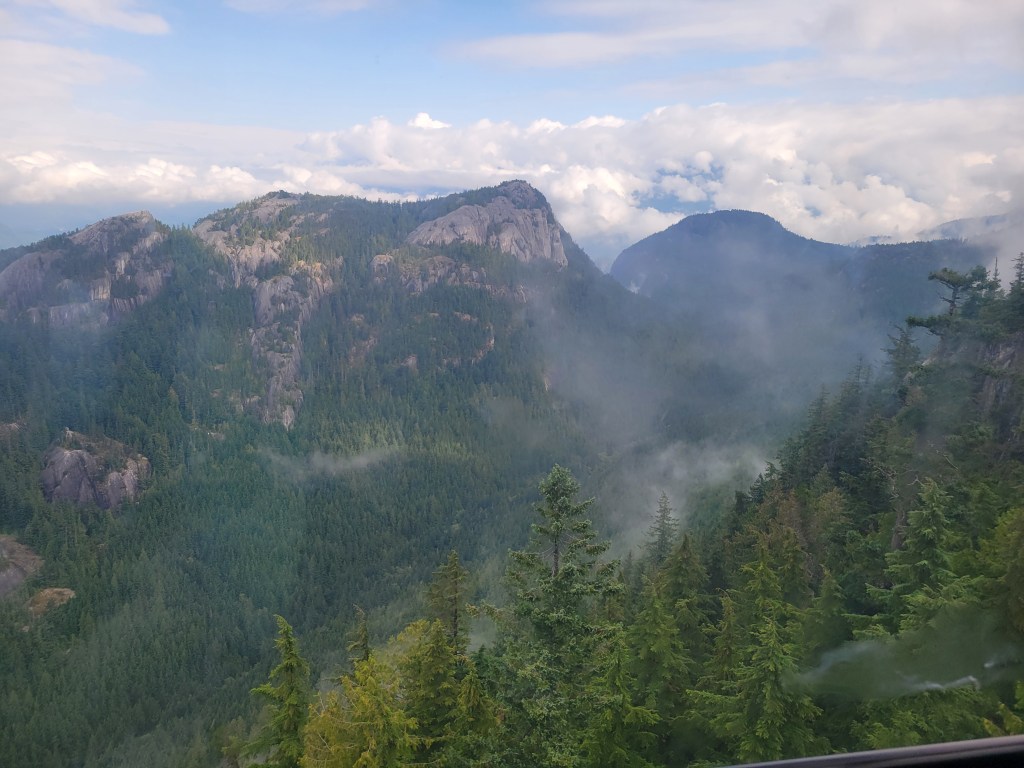 These rights, notwithstanding