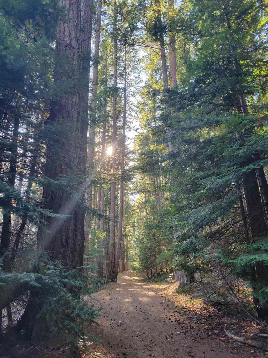 I love Mark. He really is awesome.