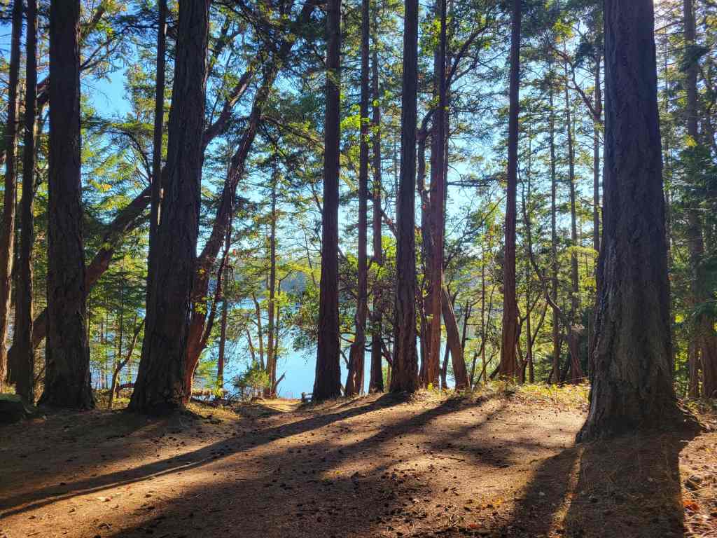 Mark Carney has to recover his charm pretty damn fast. Or we’re all screwed.