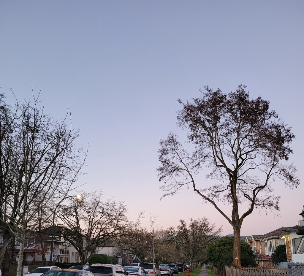 Mark Carney in Davos makes pragmatism sound like moral authority. But I’m up for it.